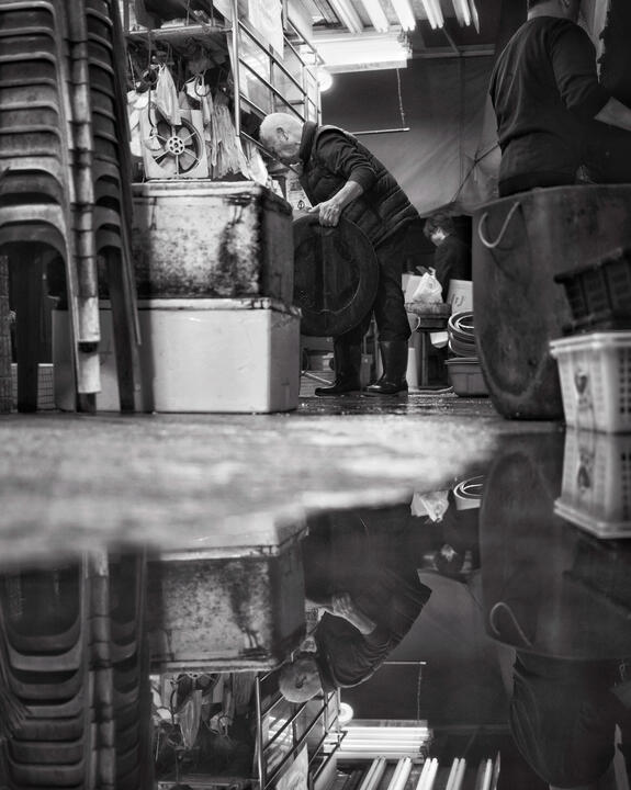 Reflections